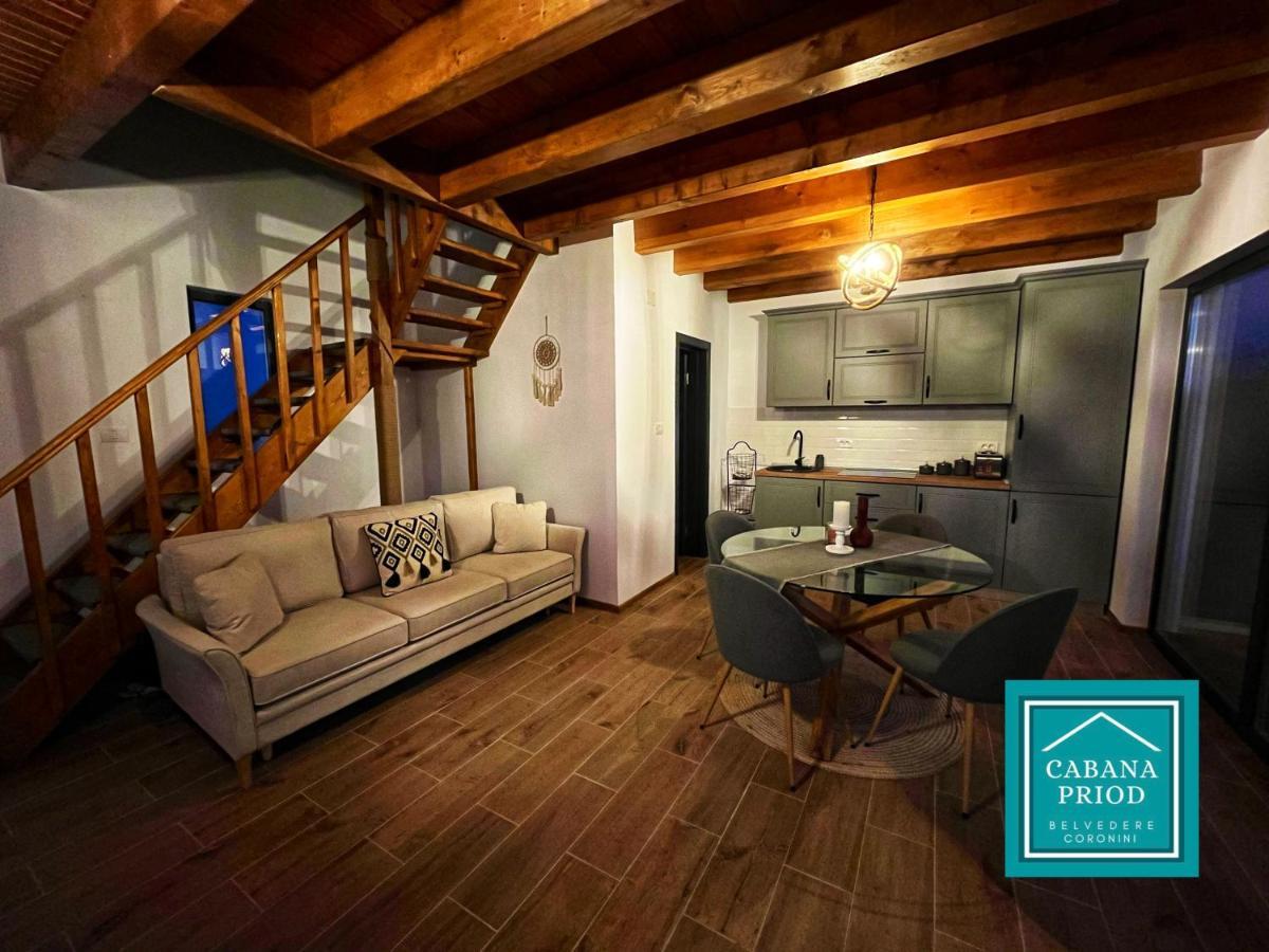 Cabana Priod Coronini Pescari Exterior foto