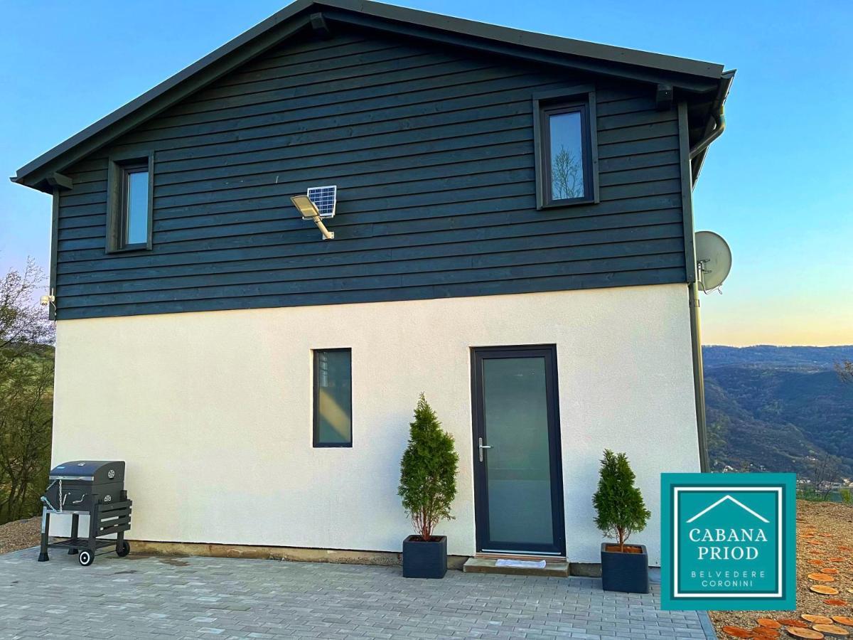 Cabana Priod Coronini Pescari Exterior foto