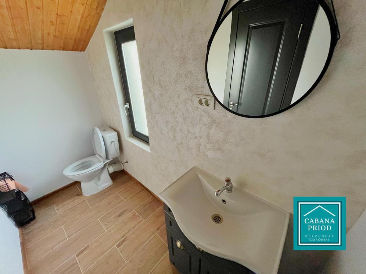 Cabana Priod Coronini Pescari Exterior foto